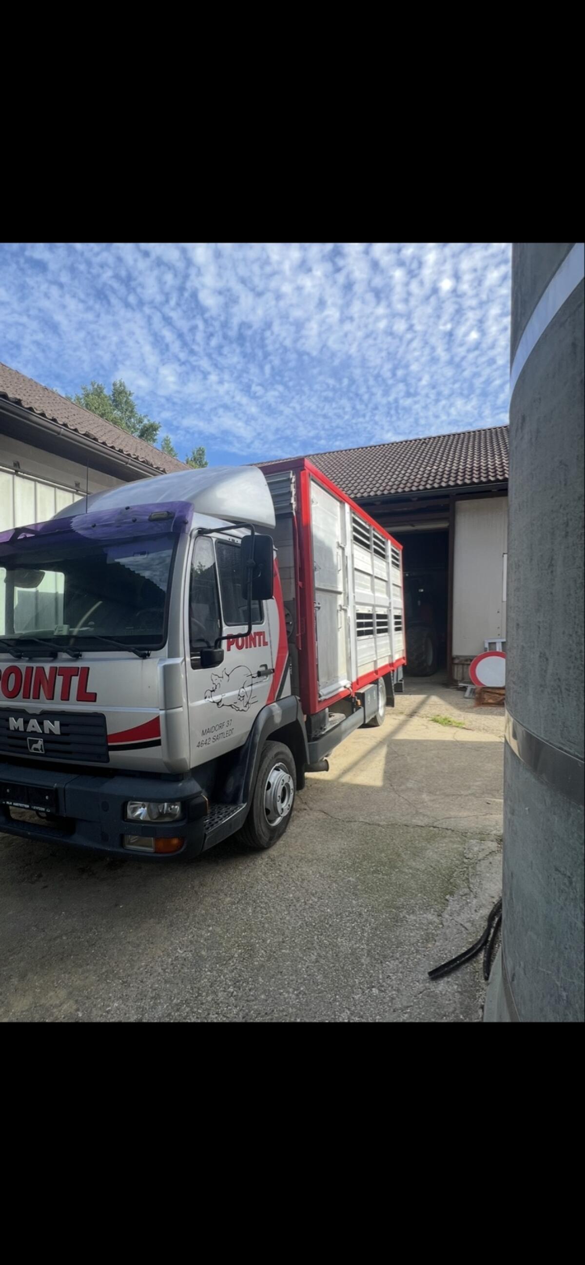 MAN Viehtransporter 1