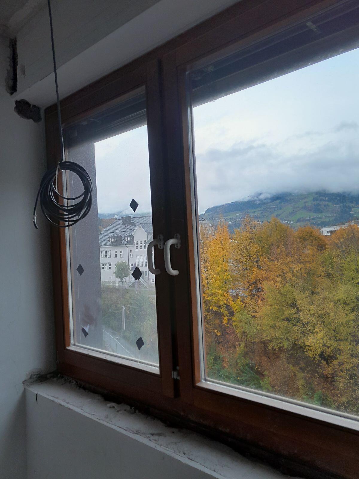 Eichenholz Fenster 2