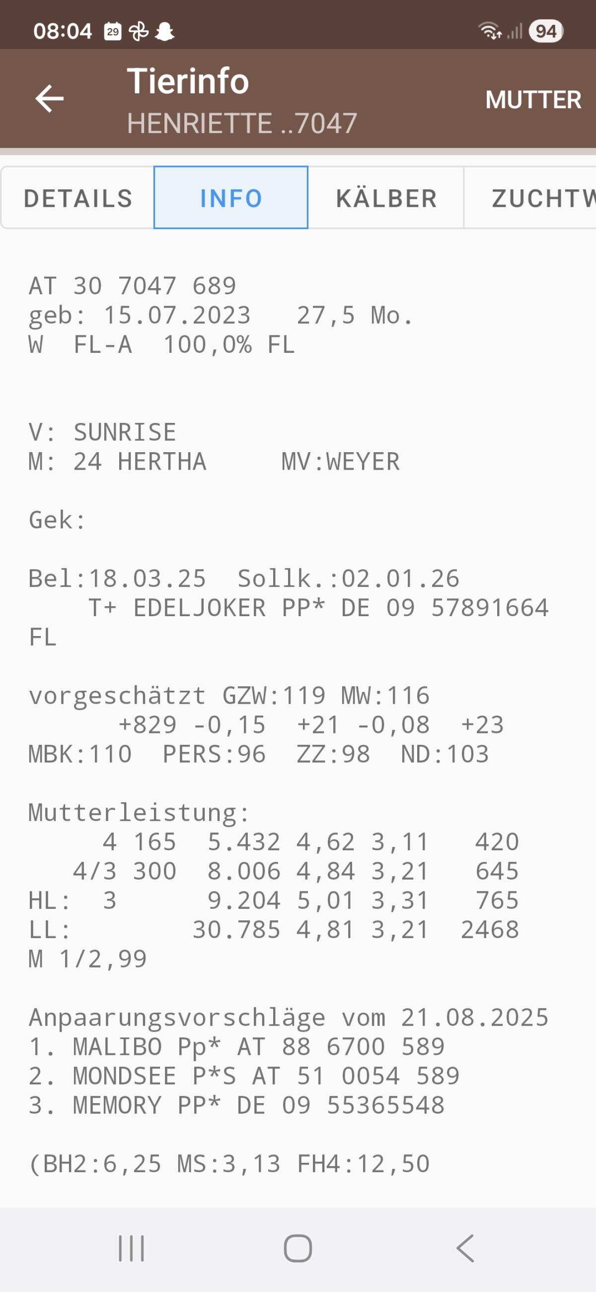 Verkaufe trächtige Fleckviehkalbin 2