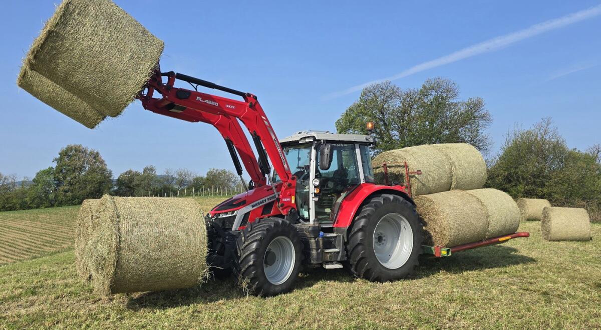 Heu für Pferde und Rinder, Zustellung möglich 2