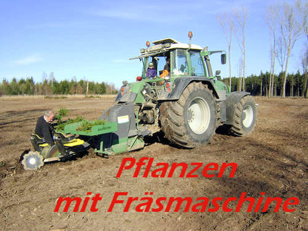 Gratis-Neuaufforstung 3