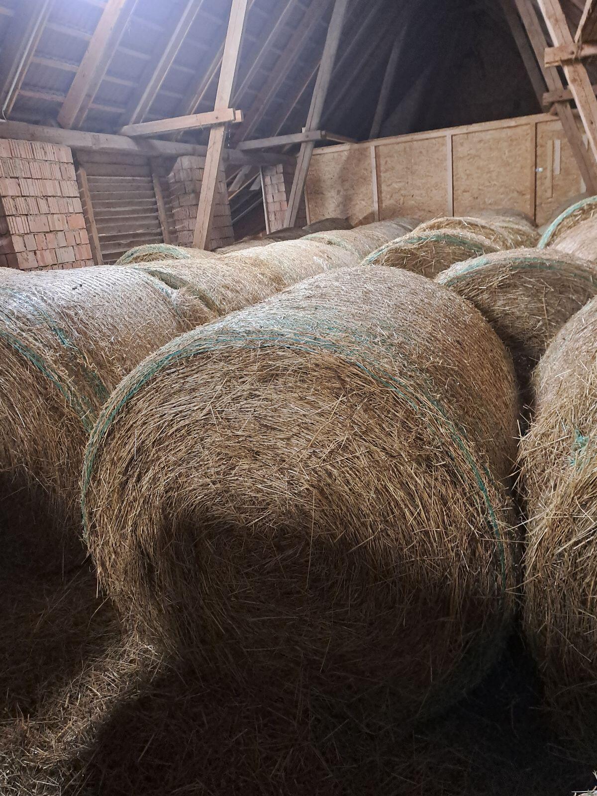 Heuballen zu verkaufen 1