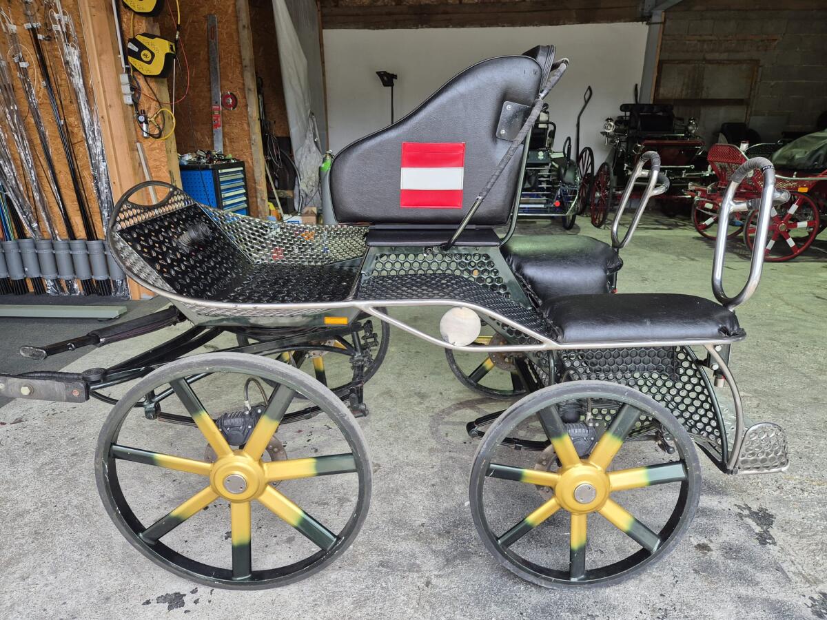 Leichter Marathon, Top Zustand, Turniertauglich 1