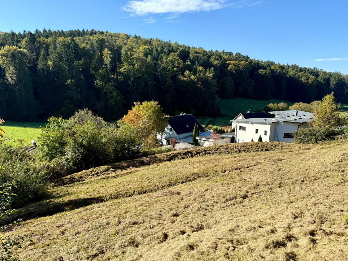 Günstiges und sonniges Baugrundstück mit Genehmigung in Hart 3