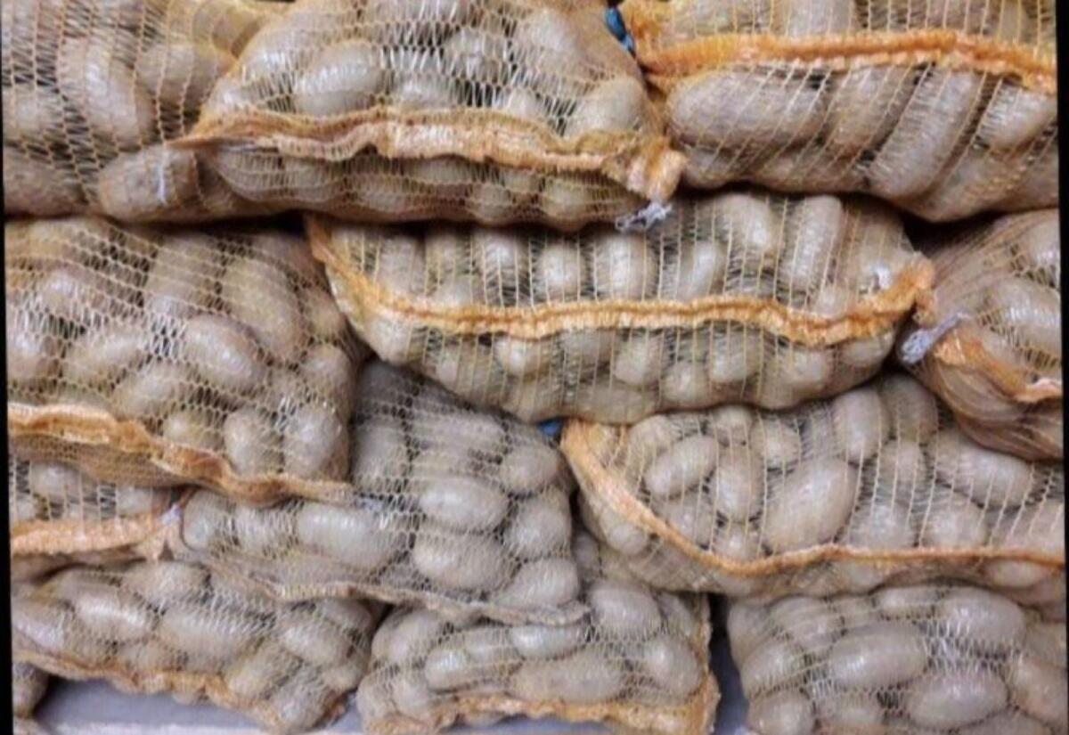 Speisekartoffeln Ditta - Zustellung österreichweit möglich 1