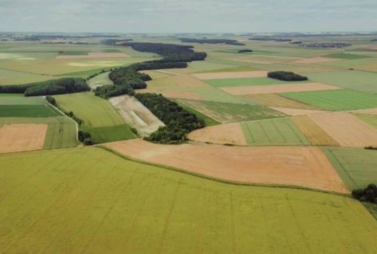 Suche Pachflächen 1