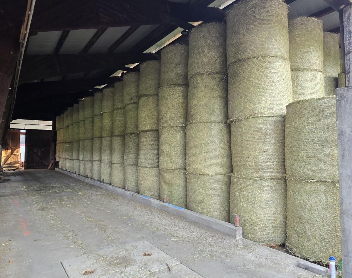 Bio Heu 1. Schnitt, Zustellung möglich 2