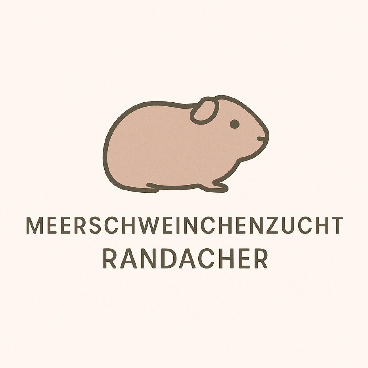 US Teddy und Rosetten Wurfankündigung 1