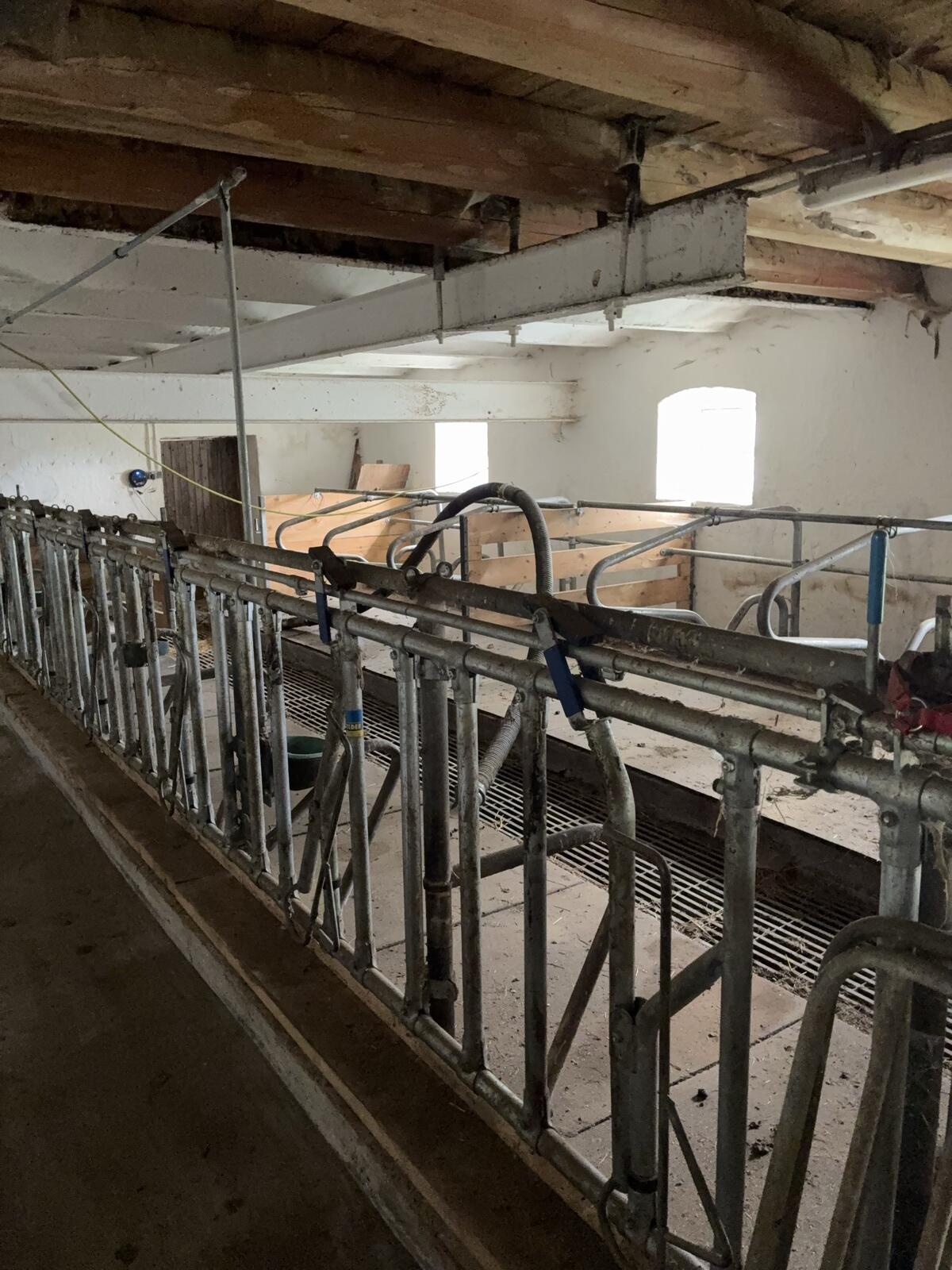 Biete Einstellplatz für Kalbinnen und Schafe 1