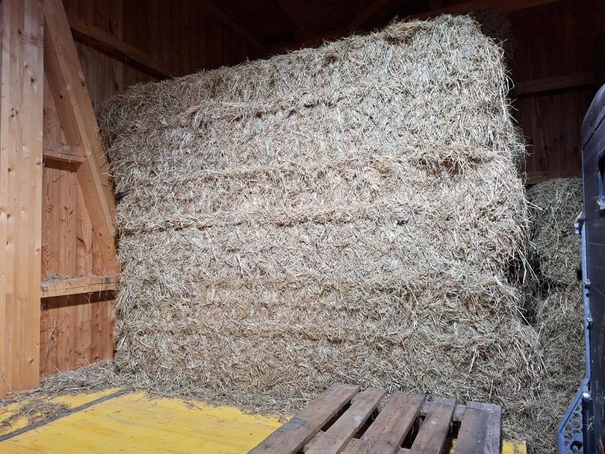 Heu - Quaderballen 1