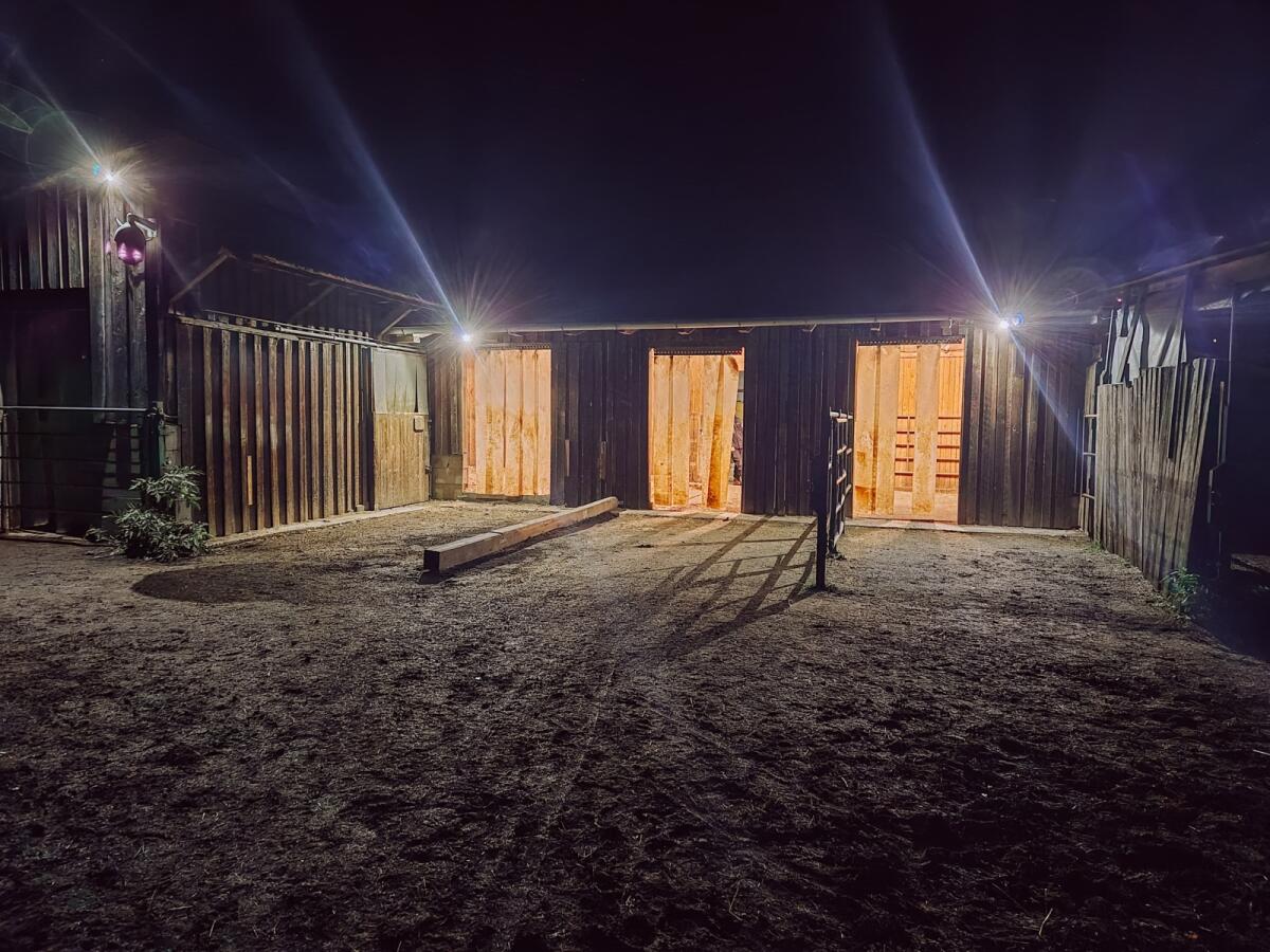 Einstellplatz Offenstall 2