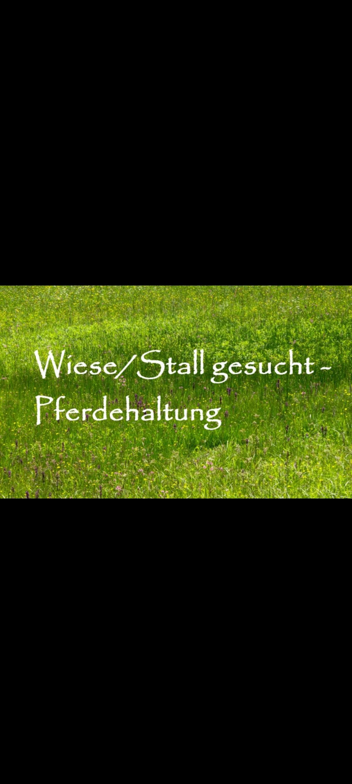 Wiese oder Stall gesucht zur Pacht/Miete 1