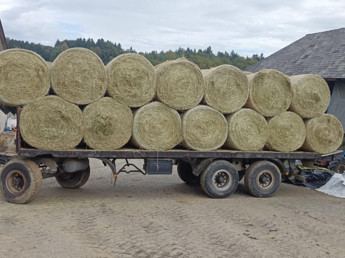 Heu Rundballen 1. Schnitt 1