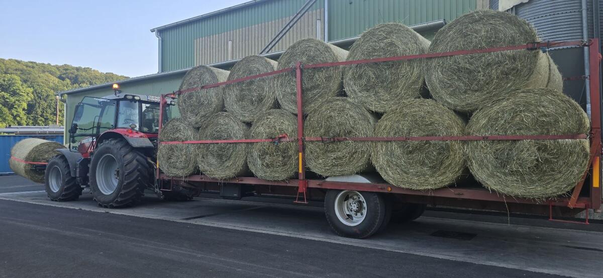 Bio Heu 1. Schnitt, Zustellung möglich 3