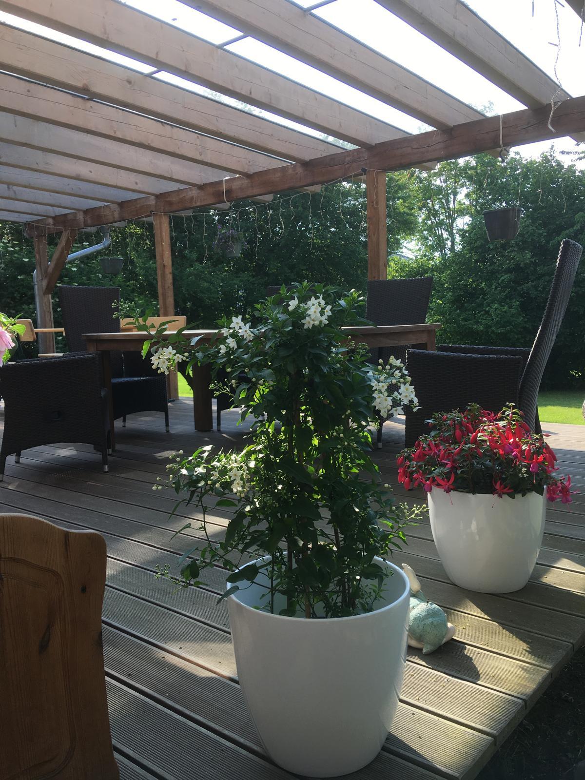 Bauernhaus in schöner Dorflage 3