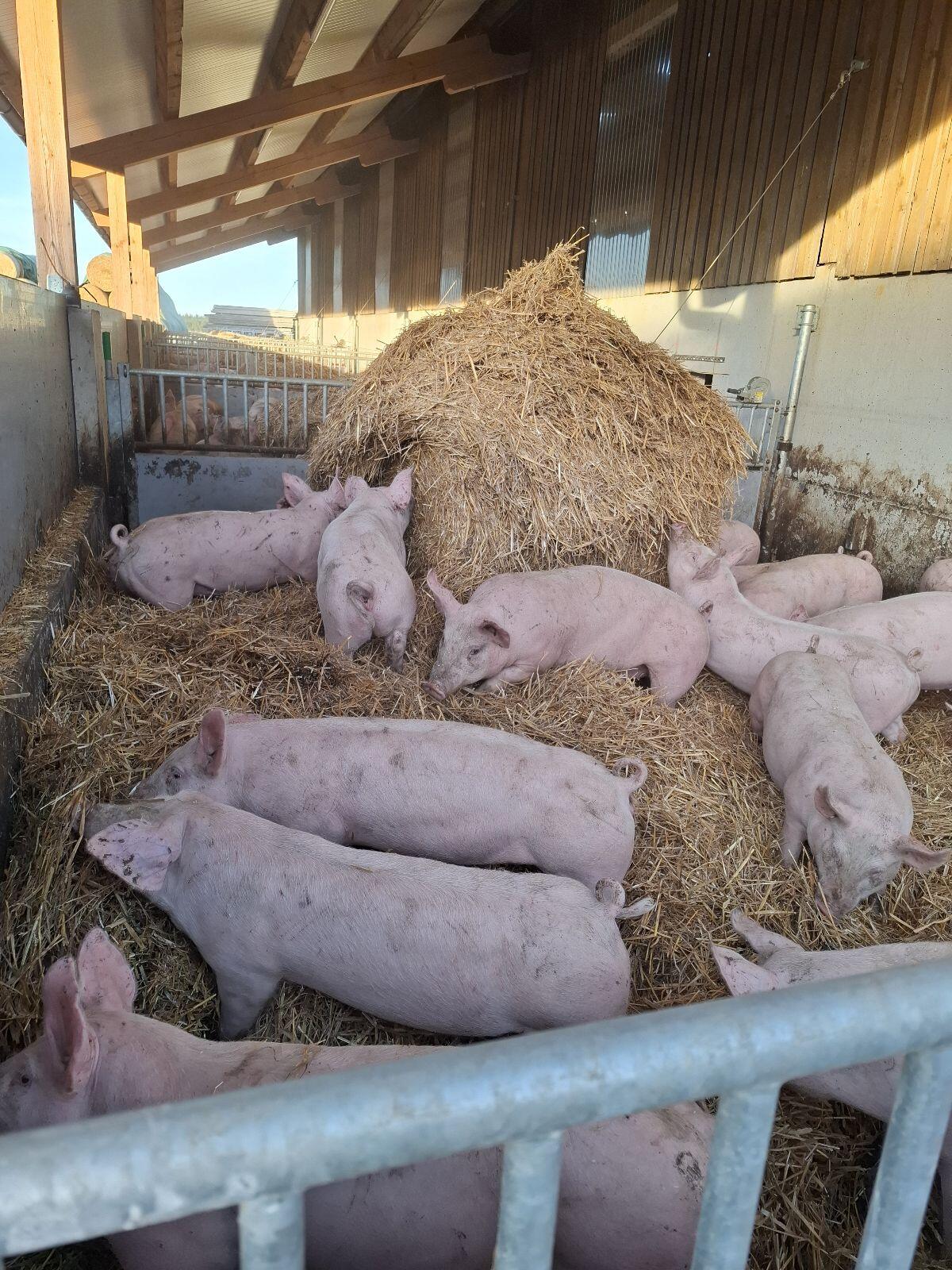 Wir suchen einen Praktikanten/Praktikantin 1