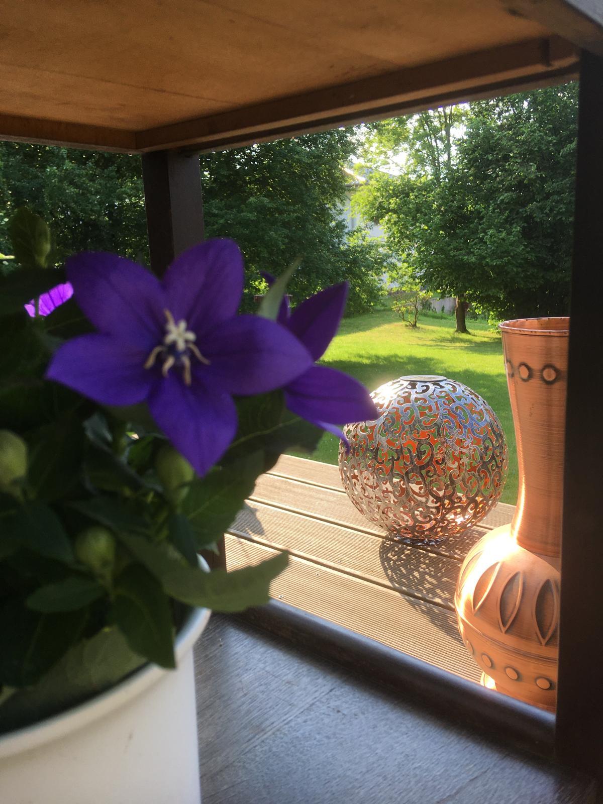 Bauernhaus in schöner Dorflage 2