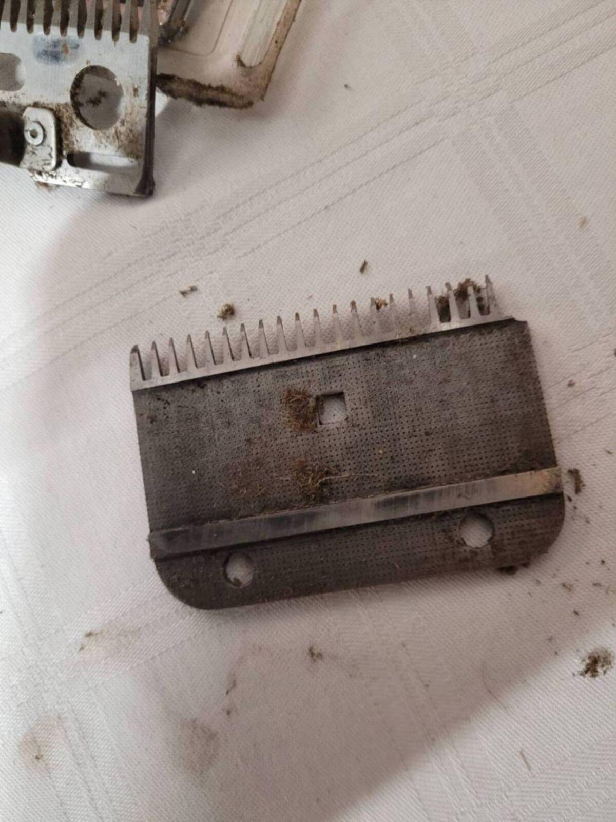 Schermesser für DeLaval-Schermaschine 3