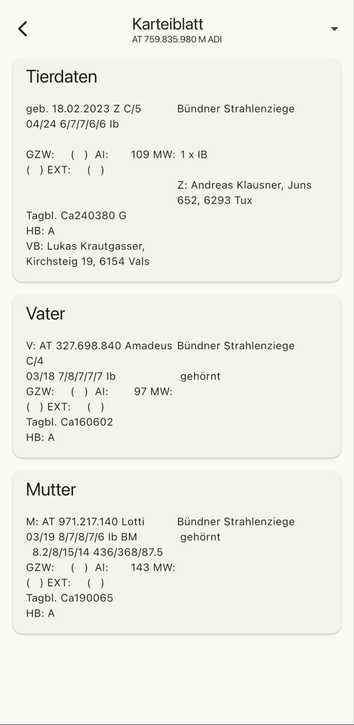 Bündner Strahlenziegenbock 1