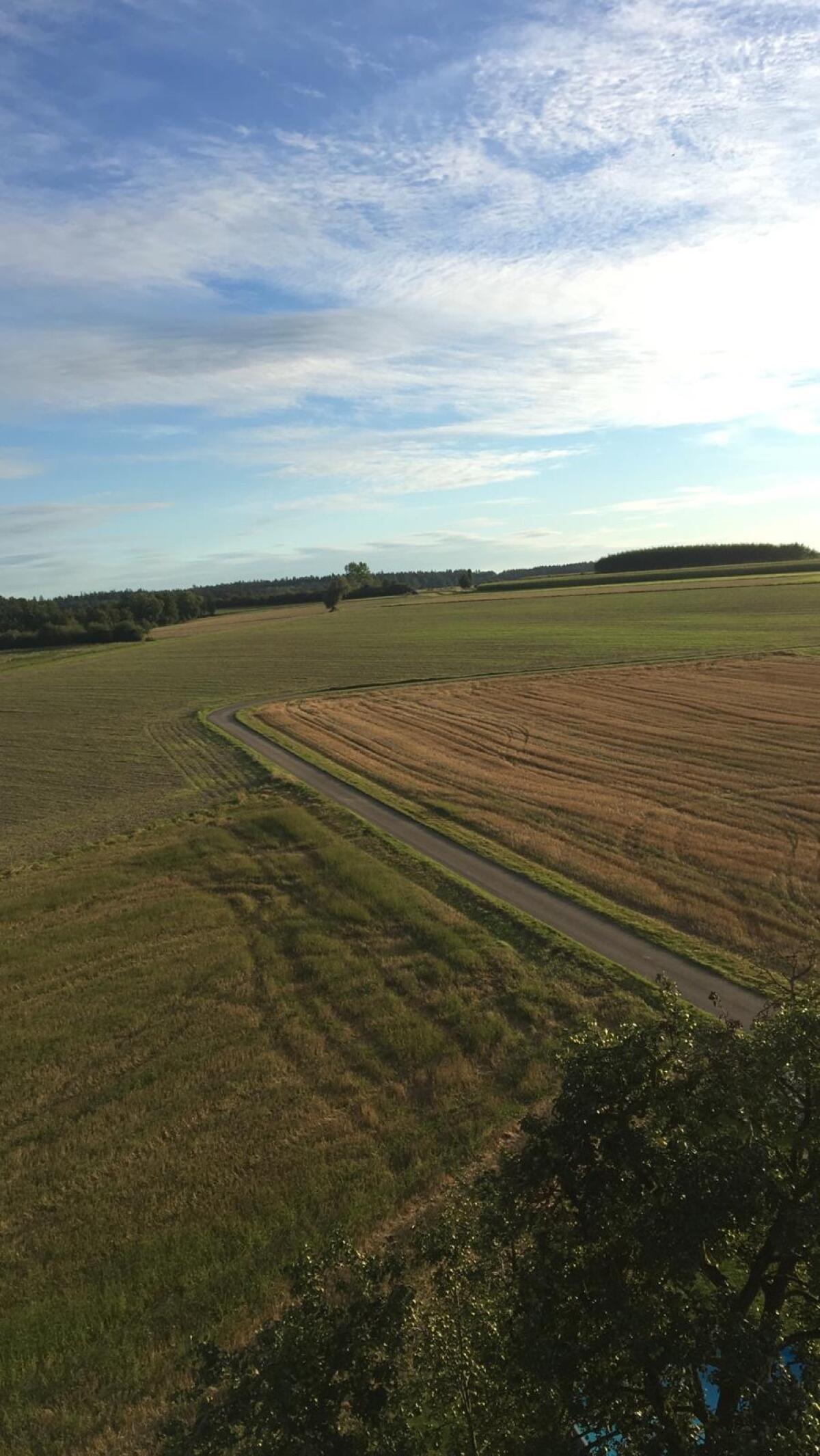 Landwirtschaftlicher Nutzgrund 1