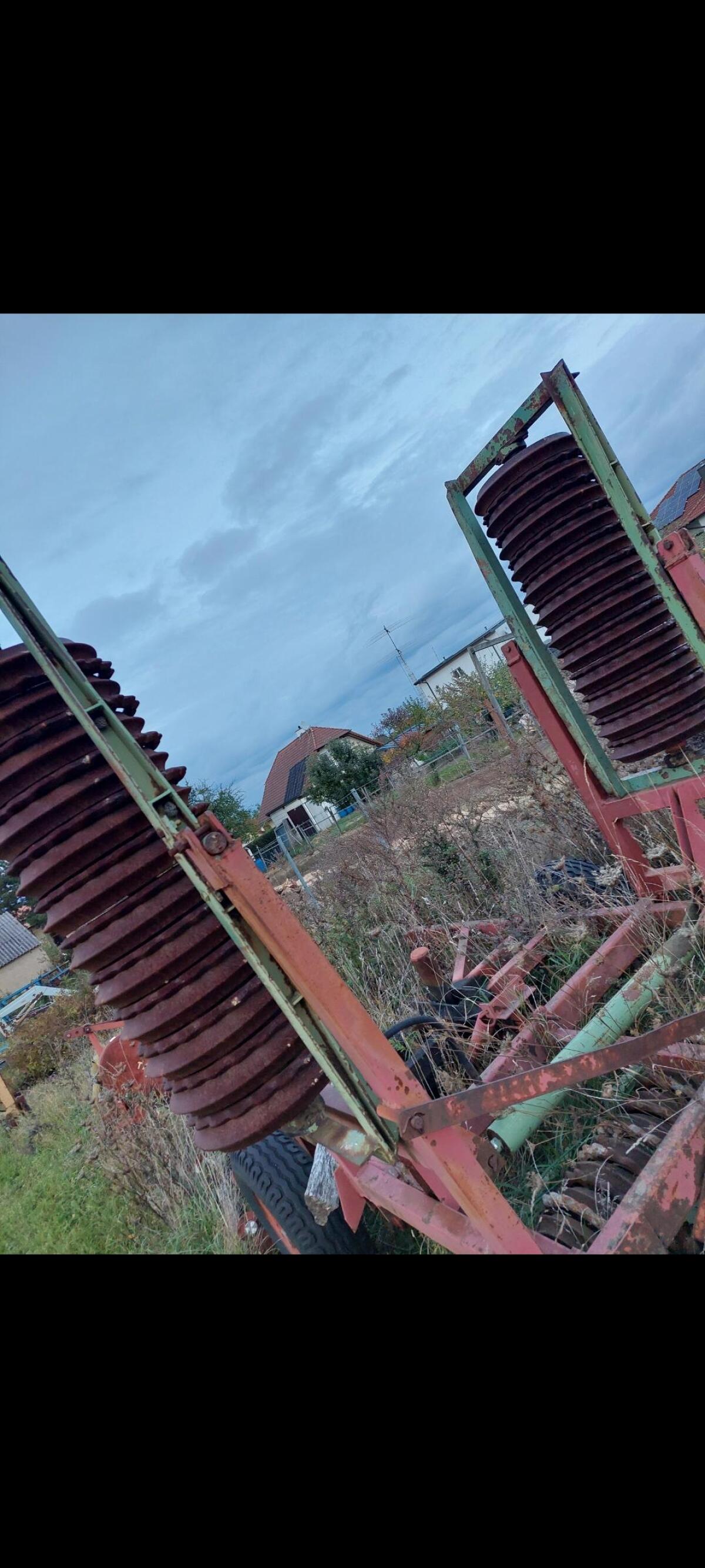 Cambridge Ringelwalze 2