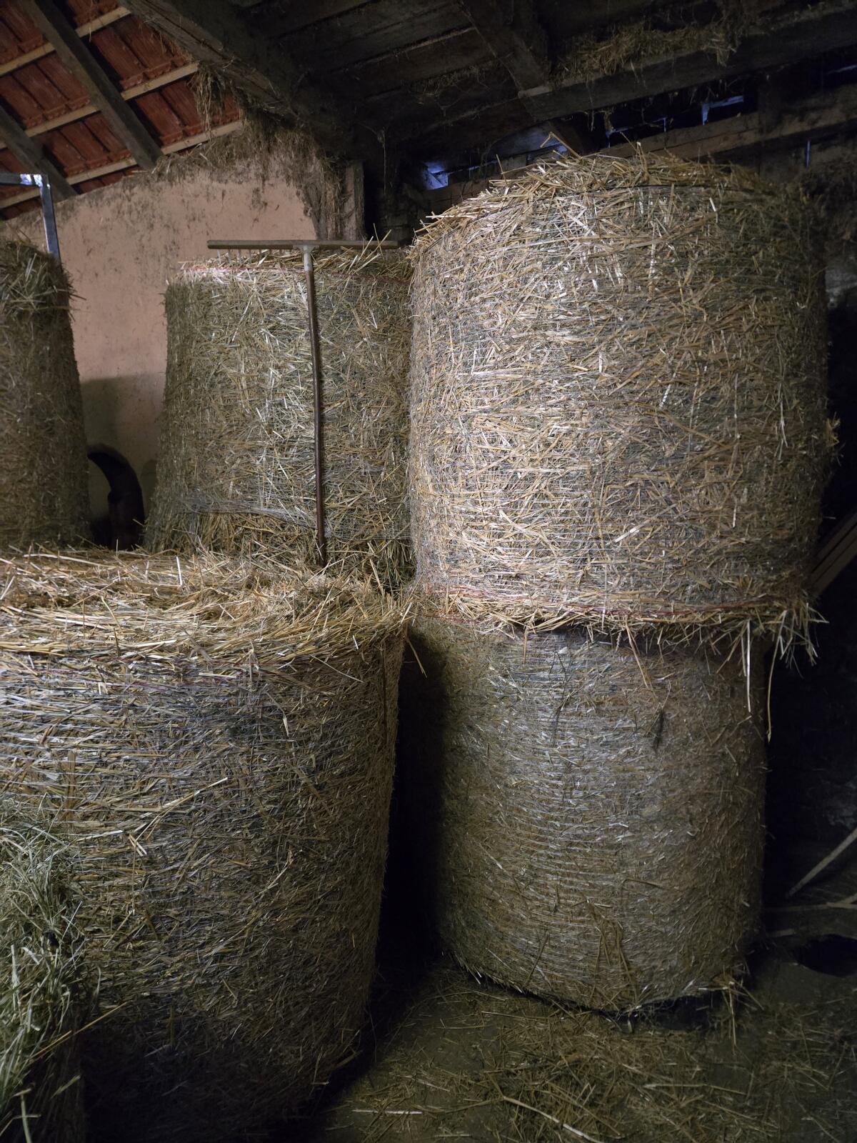 Verkaufe Stroh-Rundballen 1