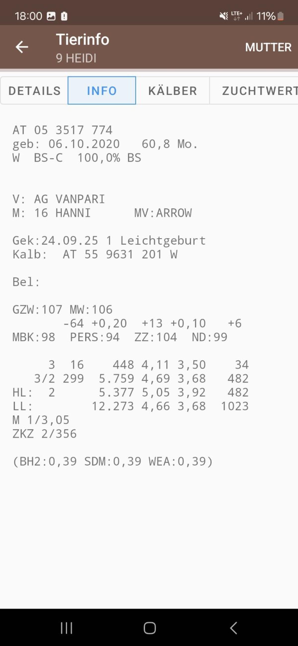 Bio Braunviehkuh aus Heumilchbetrieb 3