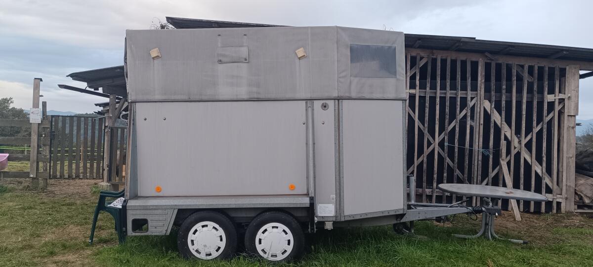 Westfalia Pferdeanhänger 3