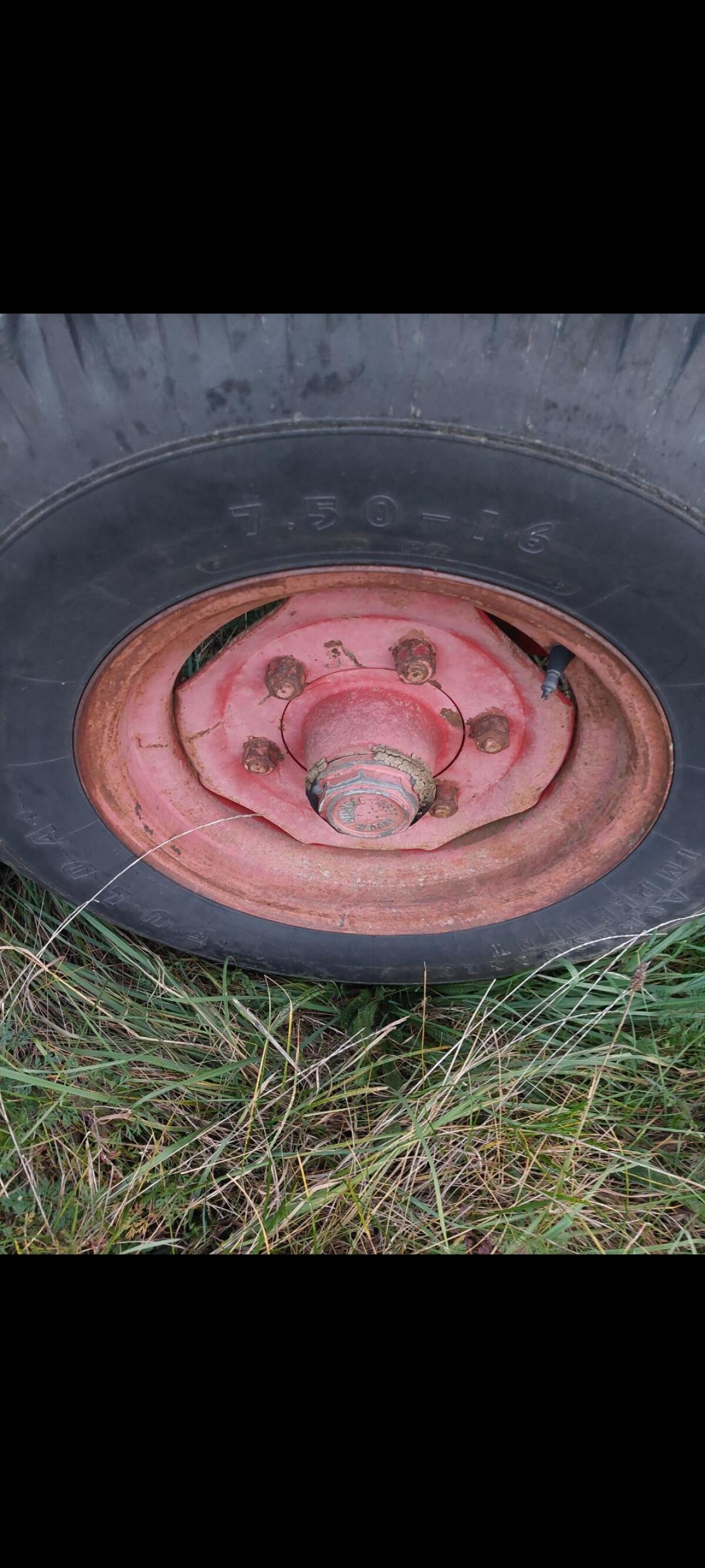 Cambridge Ringelwalze 3