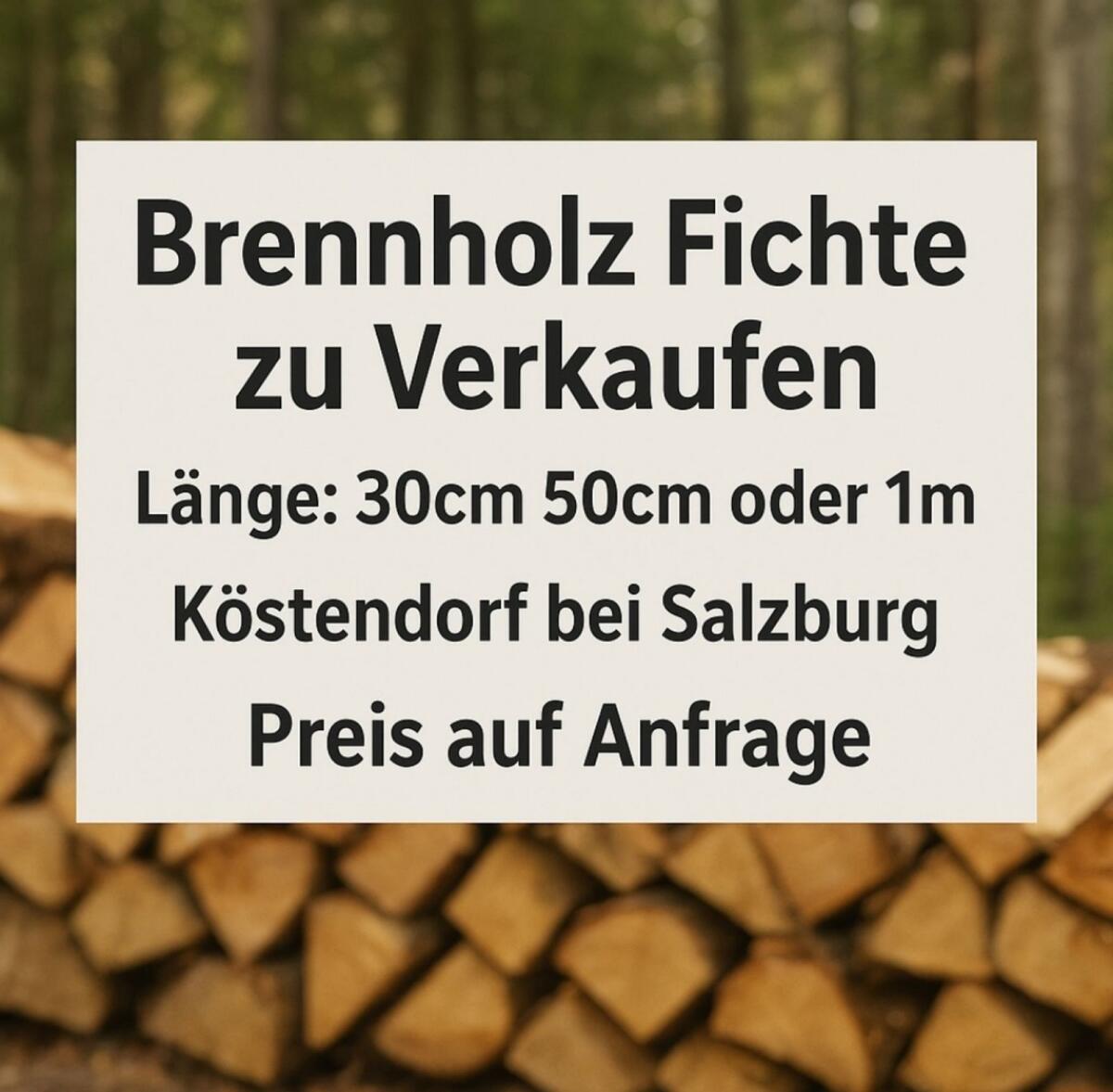 Brennholz Fichte 1