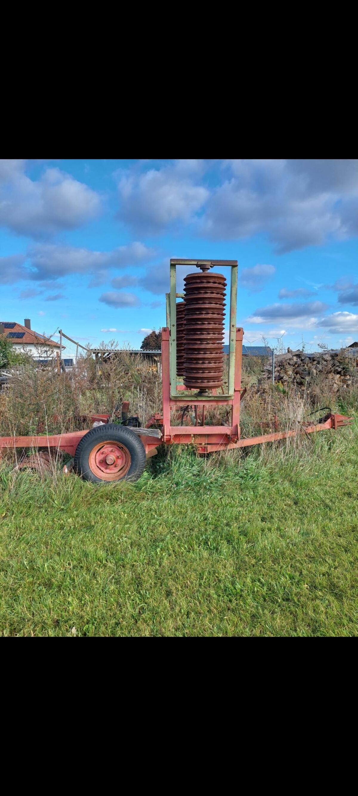 Cambridge Ringelwalze 1