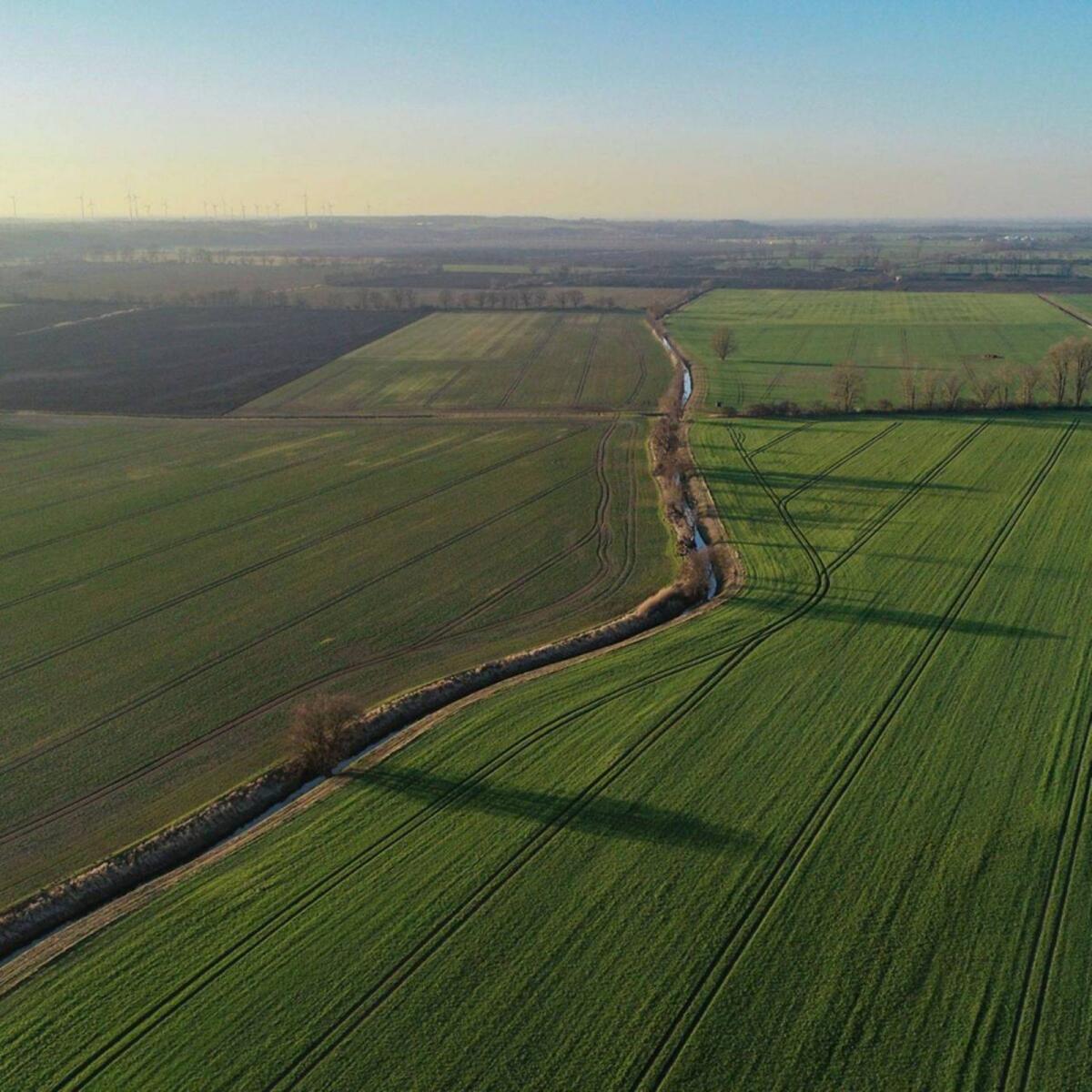 Land- und forstwirtschaftliche Flächen gesucht 1
