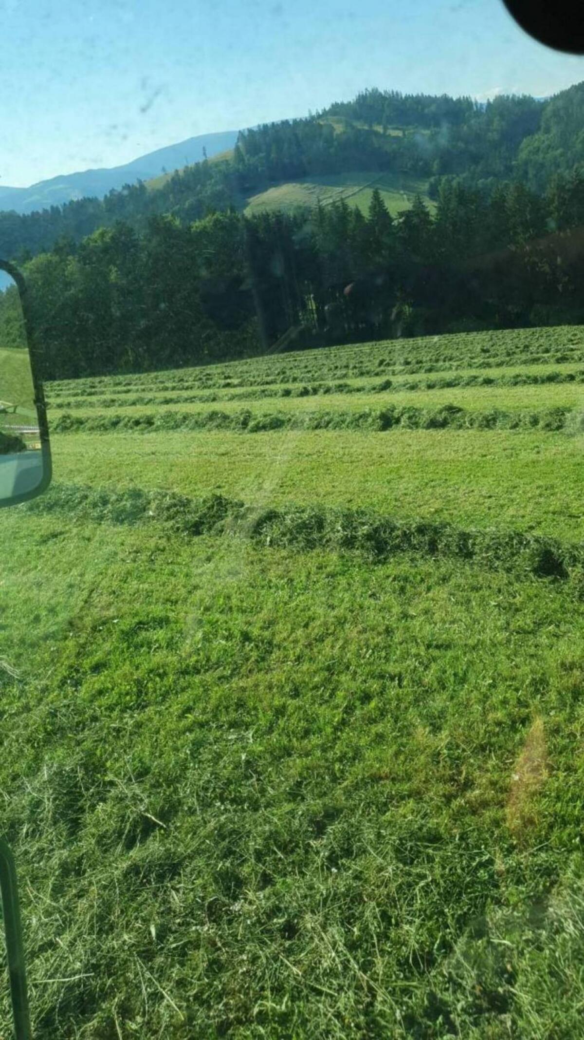 Verkaufe Heu-, Silage- und Maissilageballen 3