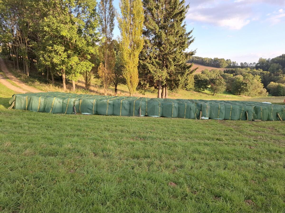 BIO-Maisballen zu verkaufen 2