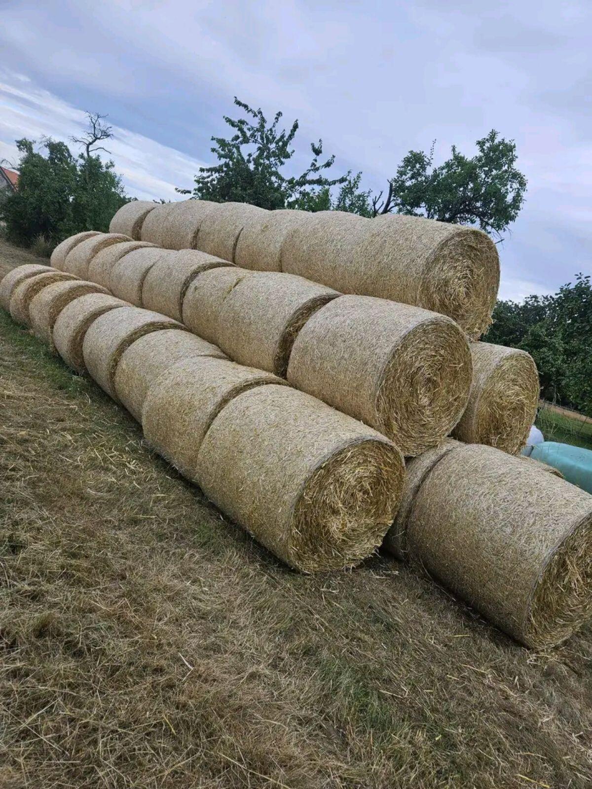 Heuballen 2