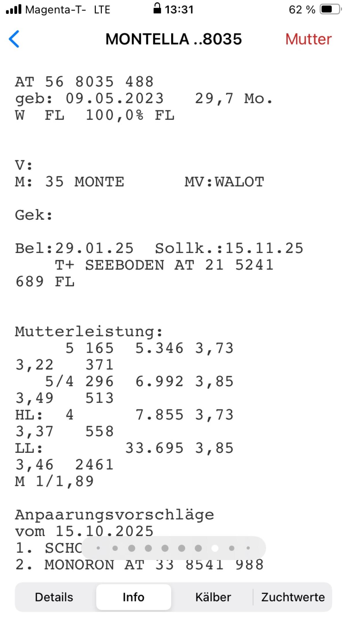 Bio-Fleckviehkalbin 2