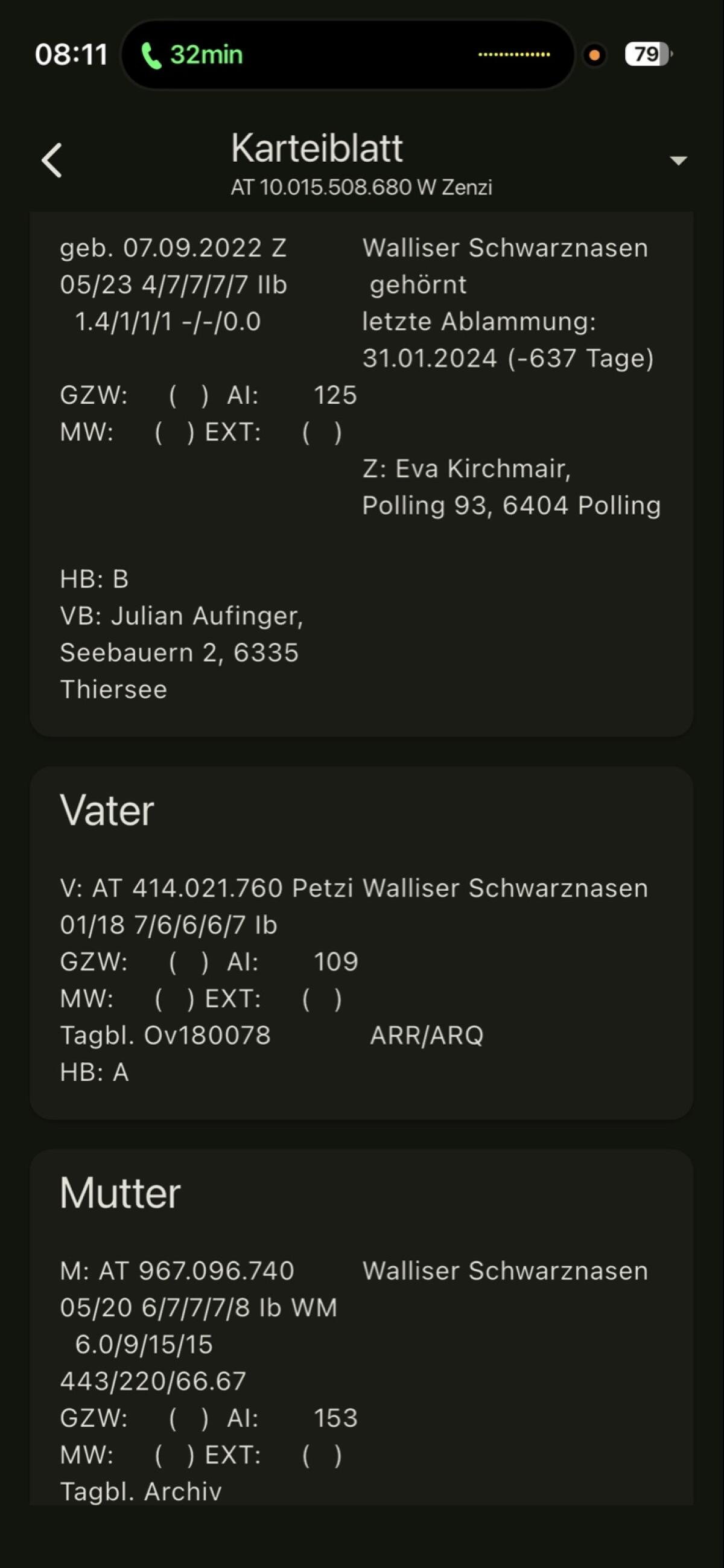 Walliser Schwarznasenschaf mit Lamm 2