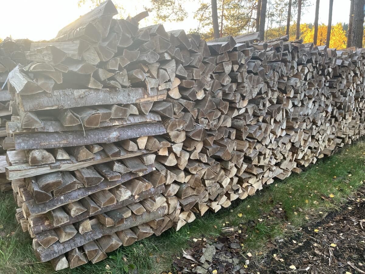 Brennholz Buche Scheiter 2