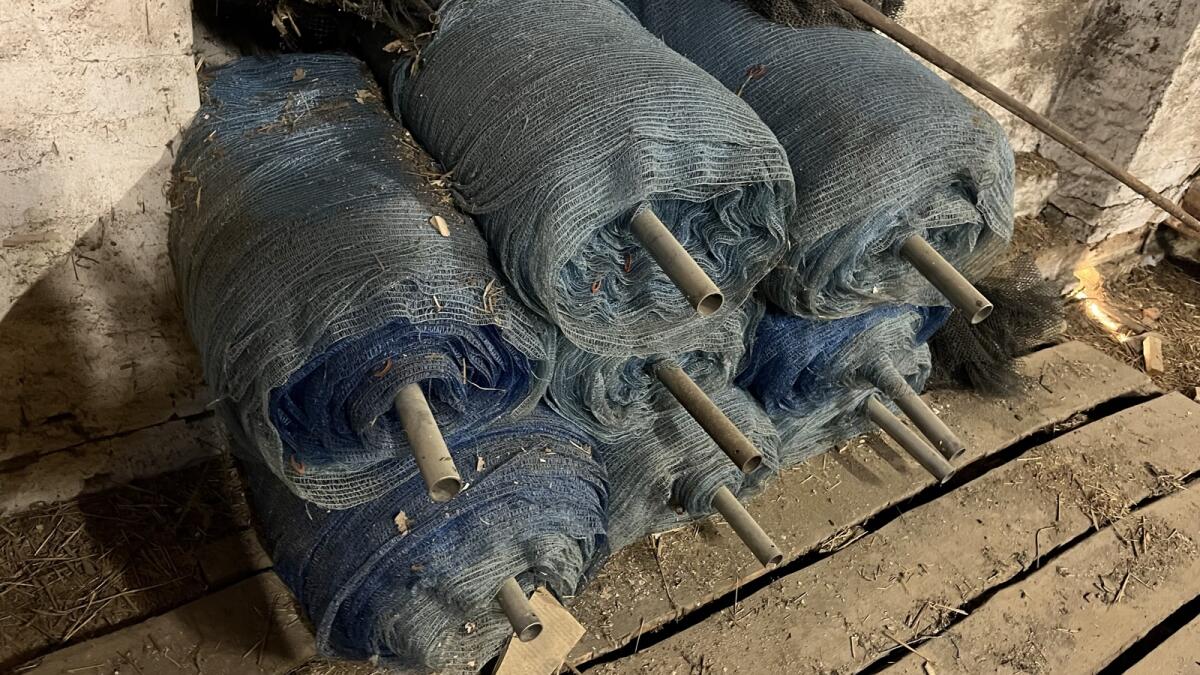 Weinbau Traubenschutznetz 3