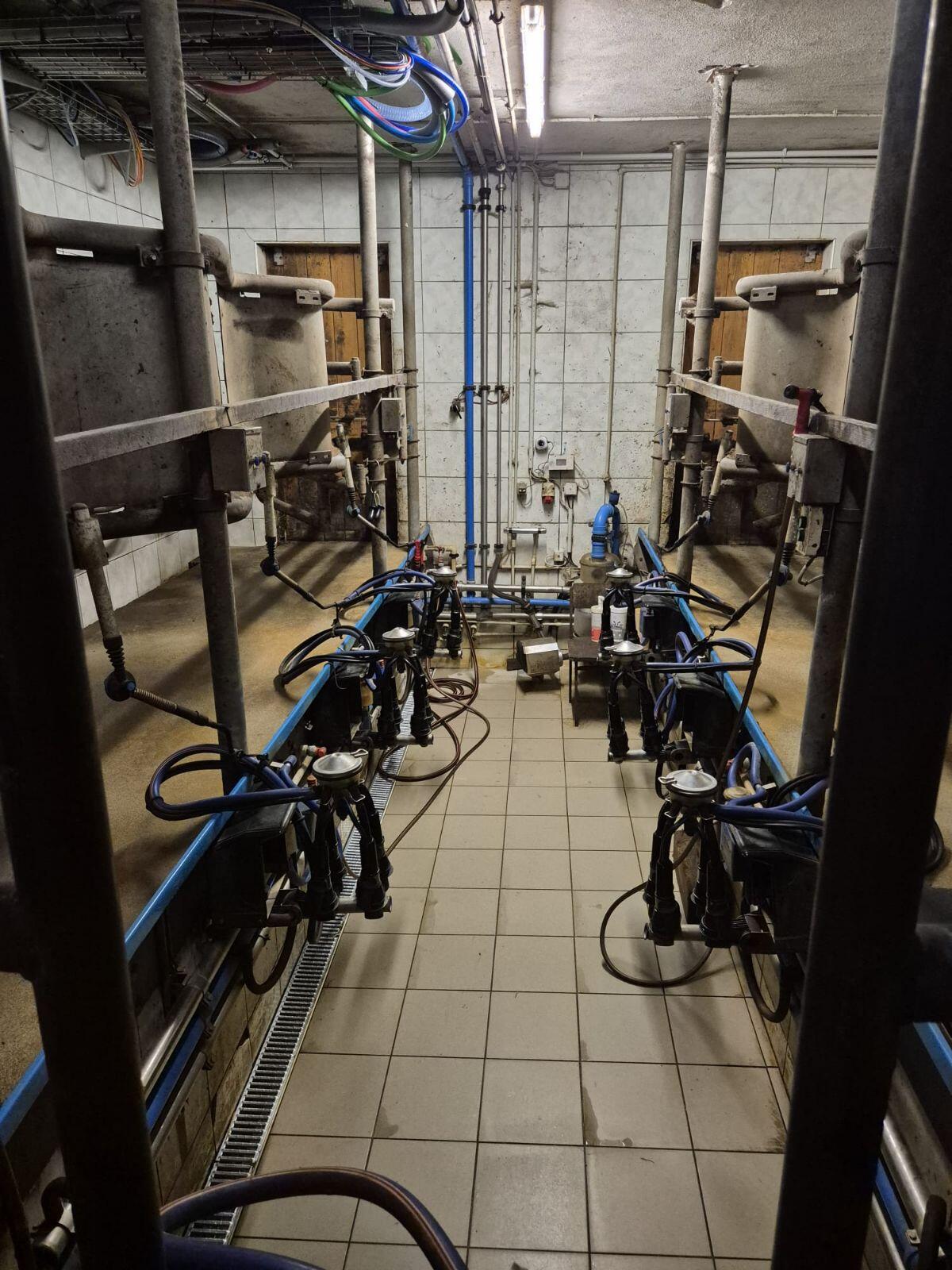 Verkaufe De Laval Doppel 3er Fischgrät Melkstand 1