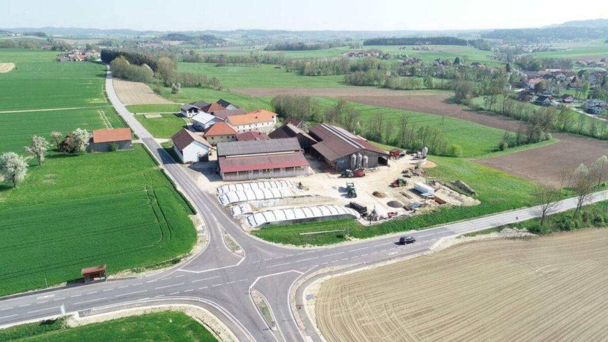 Praktikumsplatz in OÖ, 120 Milchkühe und Stiermast 2