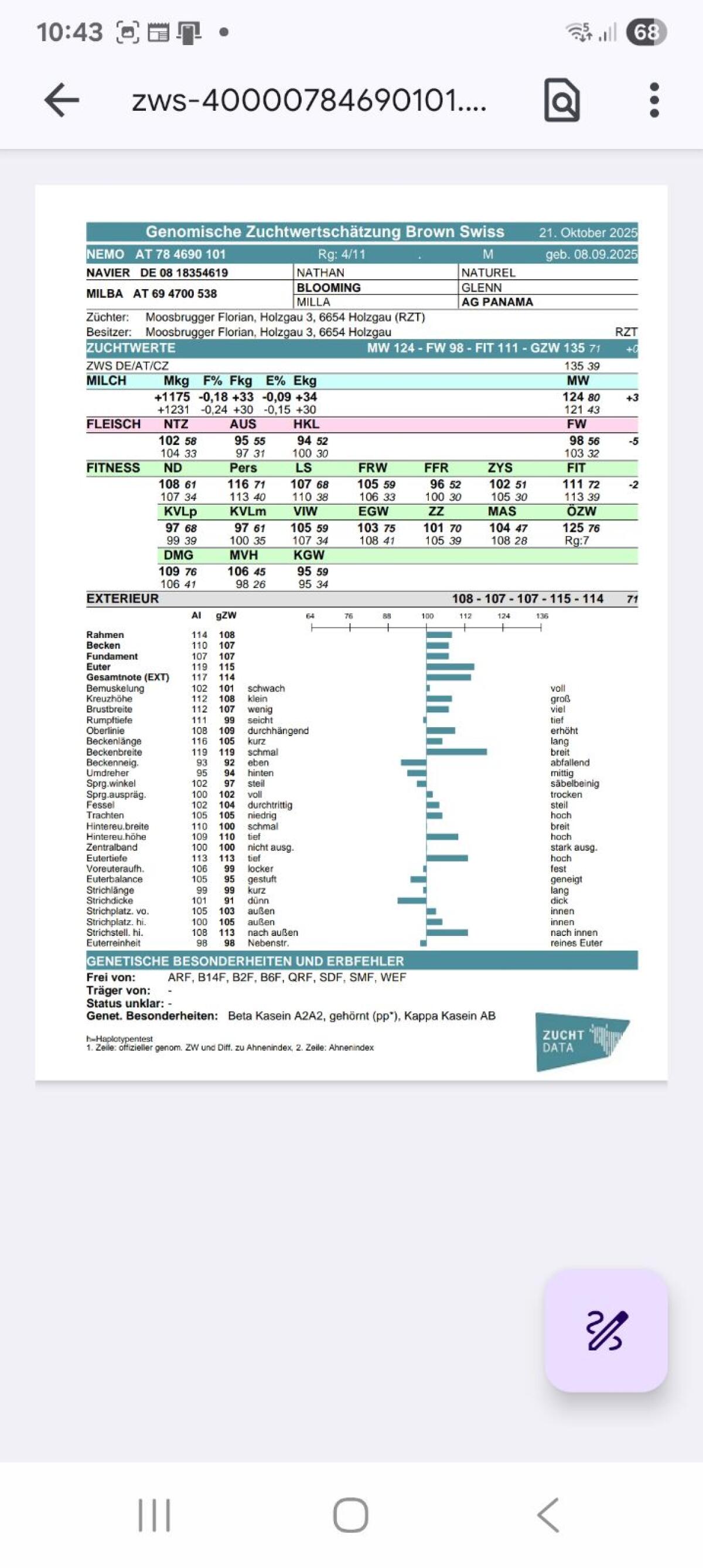 BS Stierkälber-Zucht 2