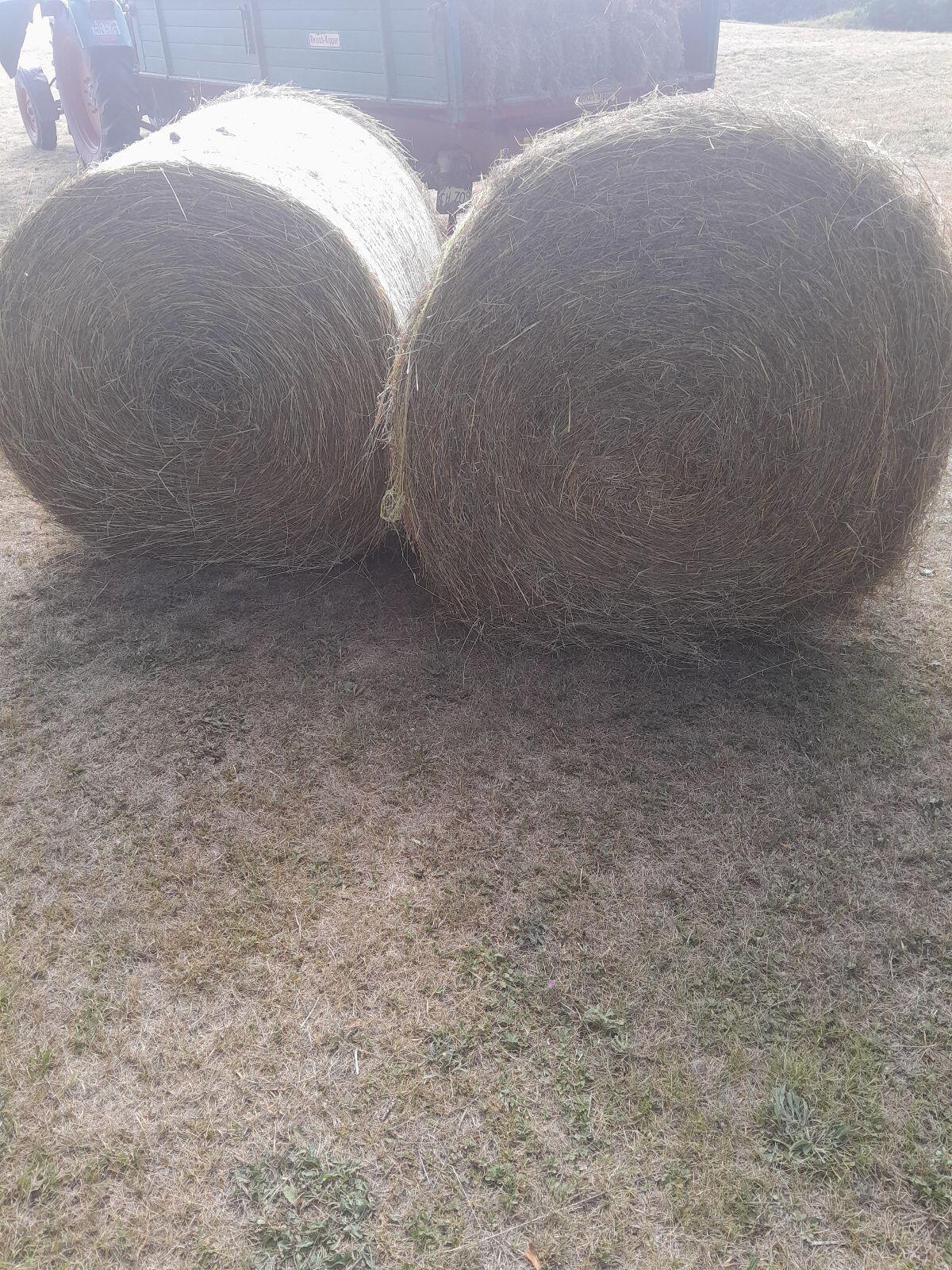 Verkaufe Rundballen Heu 1
