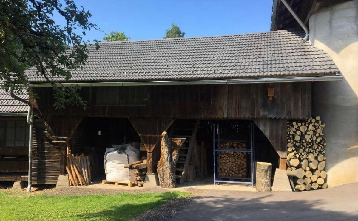 Remise aus Altholz ca. 10 m x 6 m, Halle, Hütte, Carport 1