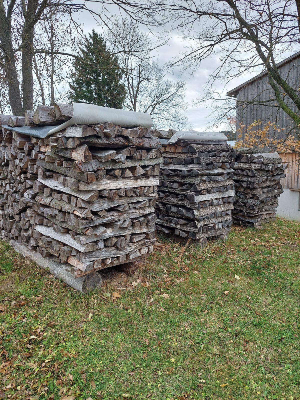 Brennholz Buche/Esche 3