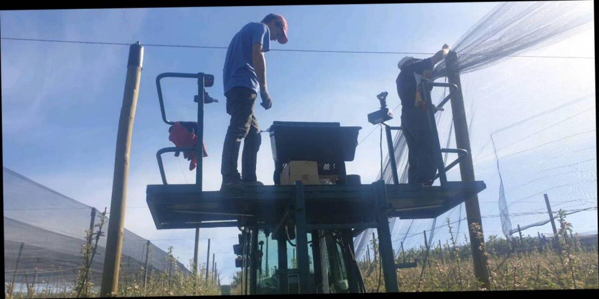 Hydraulische Bühne für Obstplantagen 3