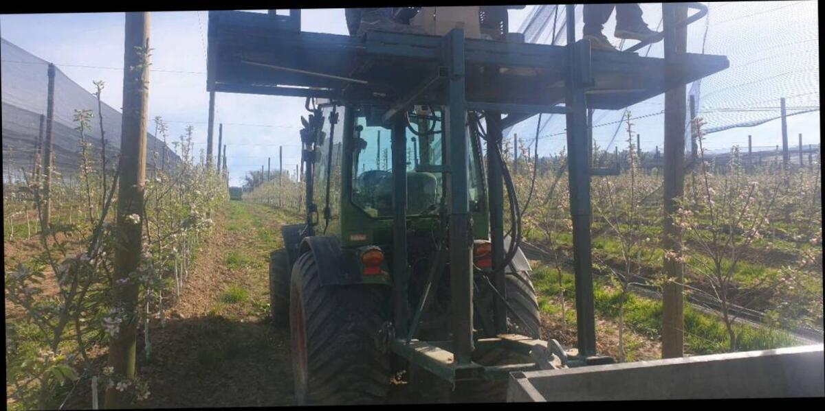 Hydraulische Bühne für Obstplantagen 2