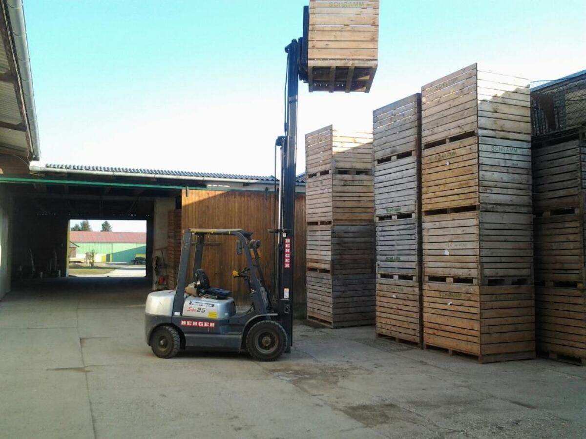 Bio Erdäpfel Kartoffel und konventionelle Erdäpfel Kartoffel 3