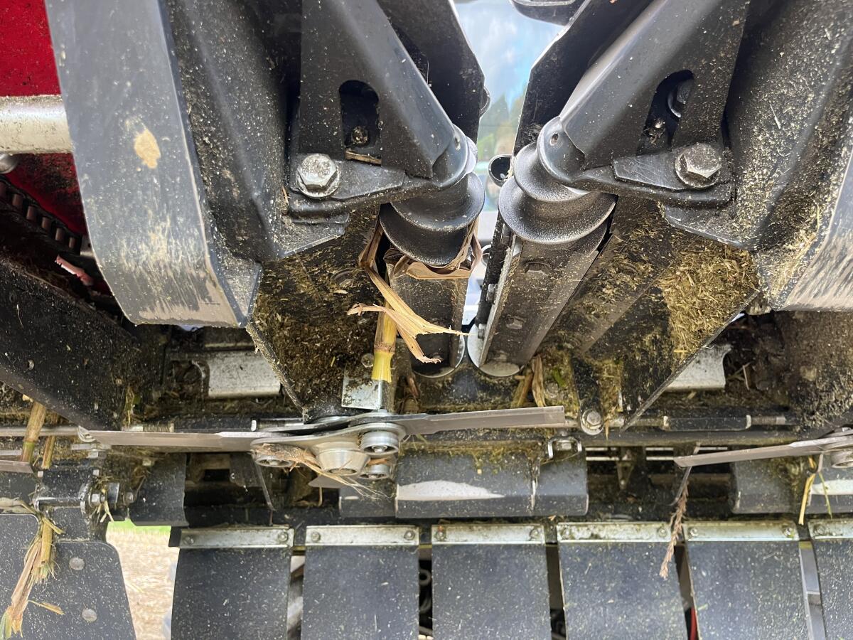 Capello Quasar Maispflücker 3