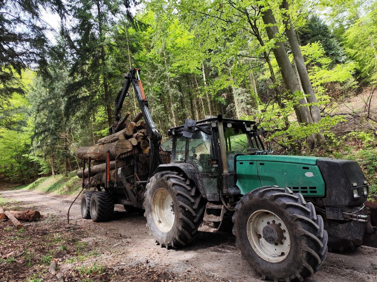 Holzbringung und Schlägerung 1